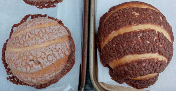 Sweet buns with topping scored with multiple curves to resemble a seashell. One is significantly larger than the other.