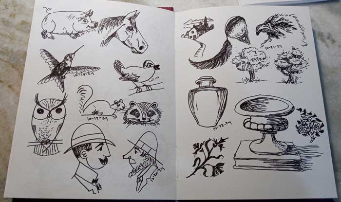 Multiple sketches in a notebook, including a decent hummingbird, another bird labeled "lol no," a couple of men in profile, and some urns.