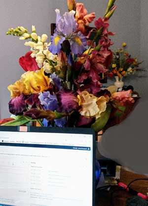 Behind an open laptop, an arrangement of fake flowers. Mostly bearded irises with one stalk of snapdragons and one stalk of gladiolus.