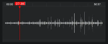 Waveform from an audio recording. Spikes after the first third reflect increased frequency and intensity of screaming at the book.