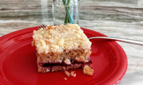 A square of coffee cake with a crumb topping and a layer of purple-red cranberry goo through the center.