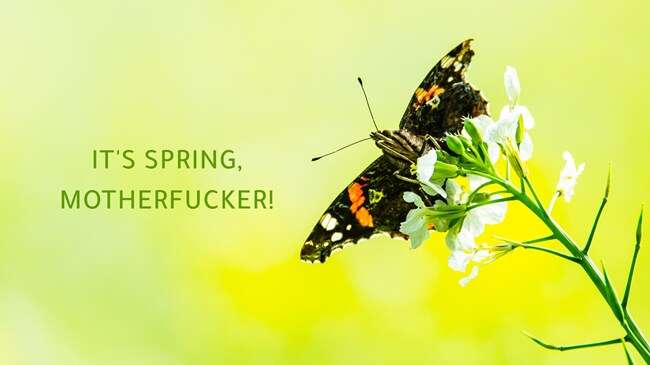 A butterfly on a budding flower captioned "It's spring, motherfucker!"